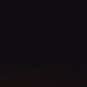 Meet your Posher, Janey